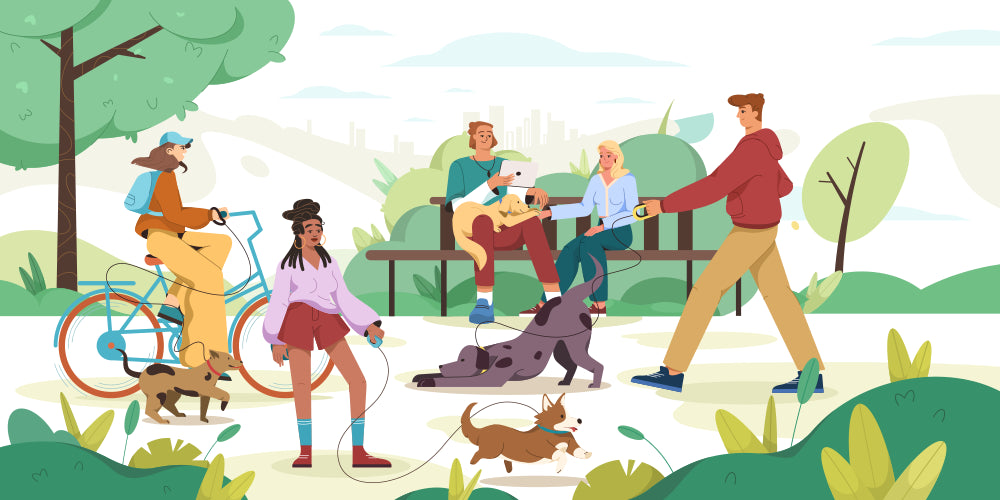 Owning a Dog Really Boost Your Health