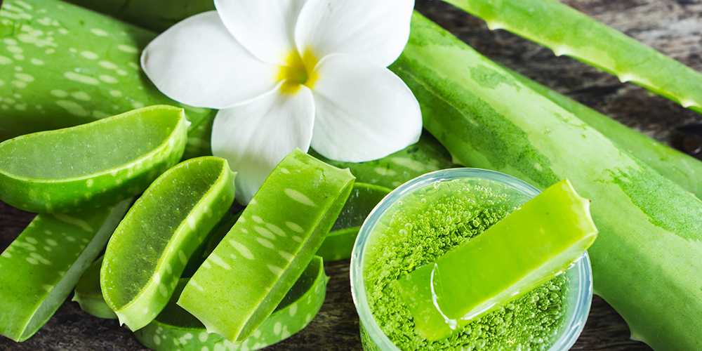 The Benefits Of Using Aloe Vera Inside And Outside The Body